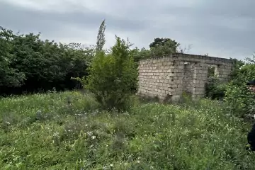 Satılır Torpaq şirvanda