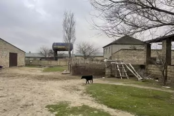 Satılır Torpaq Digahda