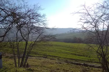 Satılır Torpaq Sabunçu Qəsəbəsida 