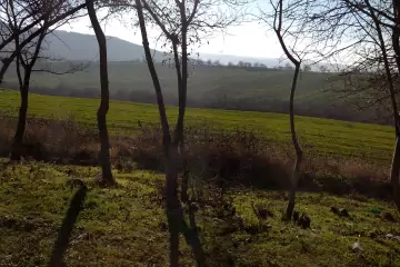 Satılır Torpaq Sabunçu Qəsəbəsida