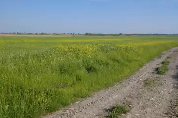 Satılır Torpaq Sabunçu Qəsəbəsida