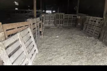 Satılır Torpaq Digahda