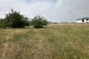 Satılır Torpaq Pirşağıda