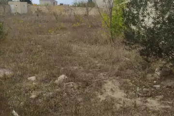 Satılır Torpaq Buzovnada