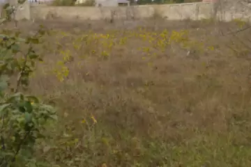 Satılır Torpaq Buzovnada