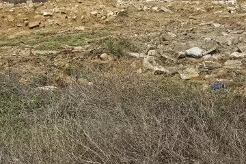 Satılır Torpaq 28 May Qəsəbəsidə