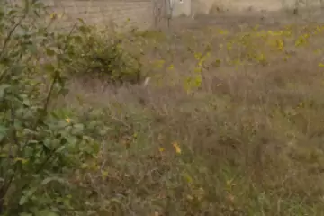 Satılır Torpaq Buzovnada