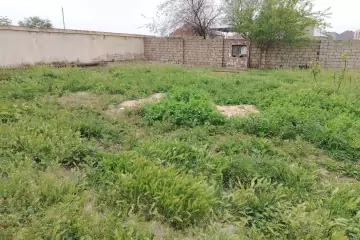 Satılır Torpaq Buzovnada