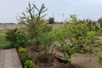 Satılır Torpaq Buzovnada