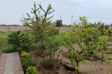 Satılır Torpaq Buzovnada