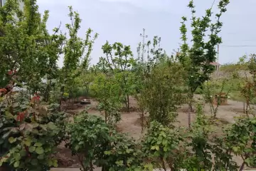Satılır Torpaq Buzovnada