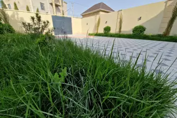 Satılır Həyət Evi Masazırda