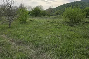 Satılır Torpaq Qəbələ şəhərində
