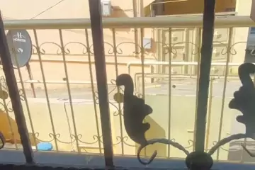 Satılır Həyət Evi Masazırda