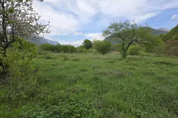 Satılır Torpaq Qəbələ şəhərində