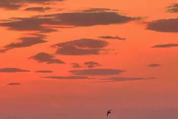 Satılır Yeni Tikili Yeni Günəşlidə