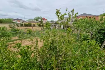 Satılır Torpaq Masazırda
