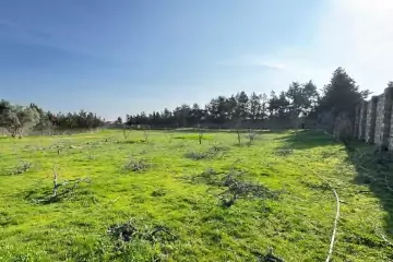 Satılır Torpaq Nardaranda