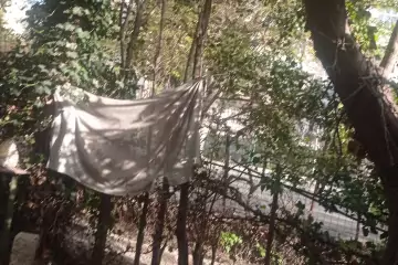 Satılır Köhnə Tikili Ukraniya Dairəsida