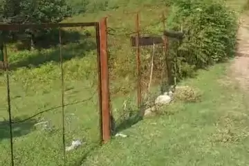 Satılır Torpaq Qax Rayonunda