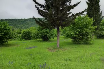 Satılır Torpaq Zaqatala Rayonunda