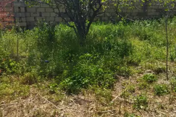 Satılır Torpaq Digahda