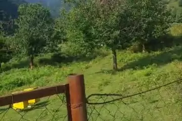 Satılır Torpaq Qax Rayonunda