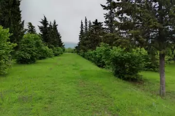 Satılır Torpaq Zaqatala Rayonunda 