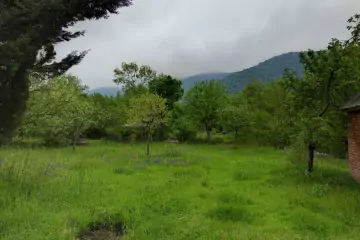 Satılır Torpaq Zaqatala Rayonunda