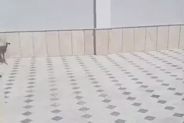 Satılır Həyət Evi Masazırda
