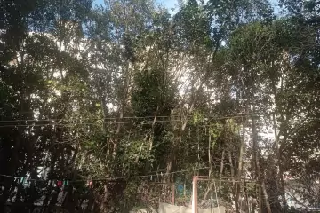 Satılır Köhnə Tikili Ukraniya Dairəsida