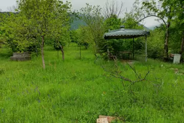 Satılır Torpaq Zaqatala Rayonunda