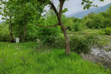 Satılır Torpaq Zaqatala Rayonunda