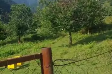 Satılır Torpaq Qax Rayonunda