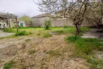 Satılır Həyət Evi Buzovnada