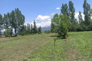 Satılır Torpaq Qəbələ Rayonunda