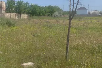 Satılır Torpaq Yeni Suraxanıda