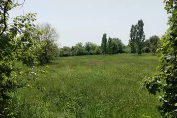 Satılır Torpaq Qəbələ Rayonunda