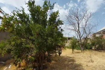 Satılır Torpaq Biləcəridə