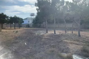 Satılır Torpaq Bakıxanovda