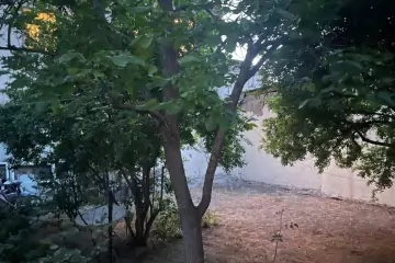 Satılır Torpaq Gənclikdə