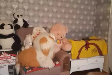 Satılır Həyət Evi Sabunçu Qəsəbəsida