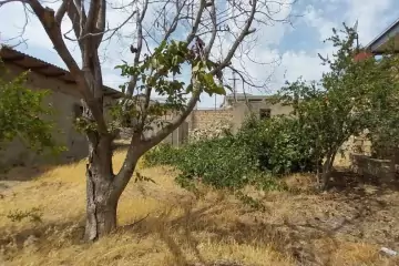 Satılır Torpaq Biləcəridə