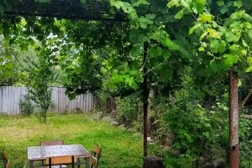 Günlük Kirayə Bağ Evi Lənkəran Rayonunda