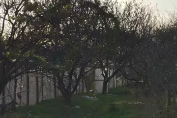Satılır Torpaq Nardaranda