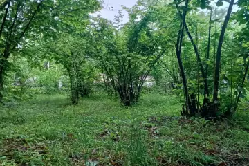 Satılır Həyət Evi Bum Qəsəbəsində