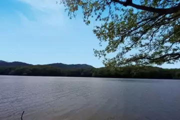 Günlük Kirayə Bağ Evi Lənkəran Rayonunda