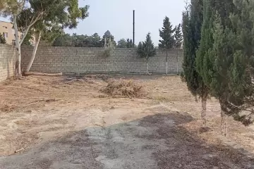 Satılır Torpaq Mərdəkanda