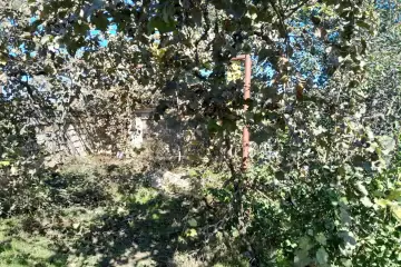 Satılır Torpaq Nardaranda