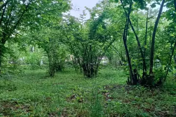 Satılır Həyət Evi Bum Qəsəbəsində